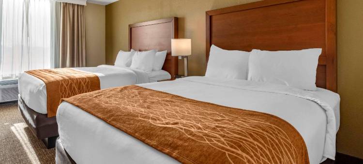 舒适套房酒店(Comfort Inn & Suites)图片