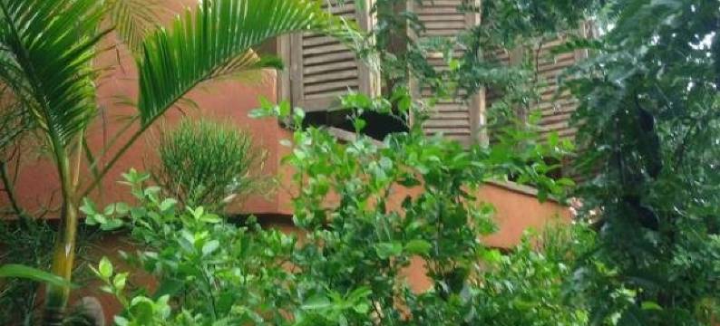 玛兹泰蜜之月别墅(Villa Luna de Miel)图片