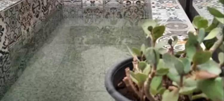 Exclusivo Bugambilias LukasaHome带游泳池(Exclusivo Bugambilias LukasaHome Alberca)图片