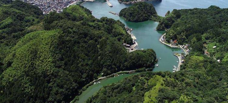 哈马达新城堡酒店(Hamada New Castle Hotel)图片