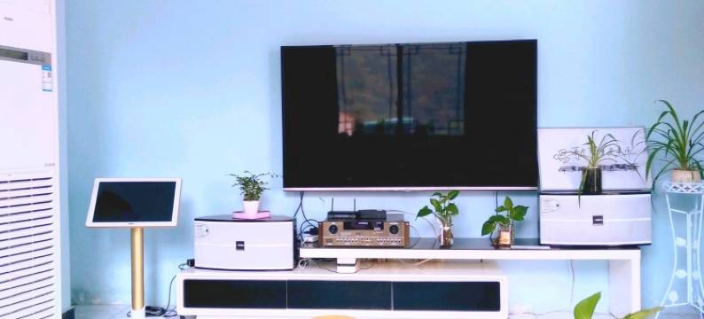 诗意江南特色民宿(芦严线分店)图片