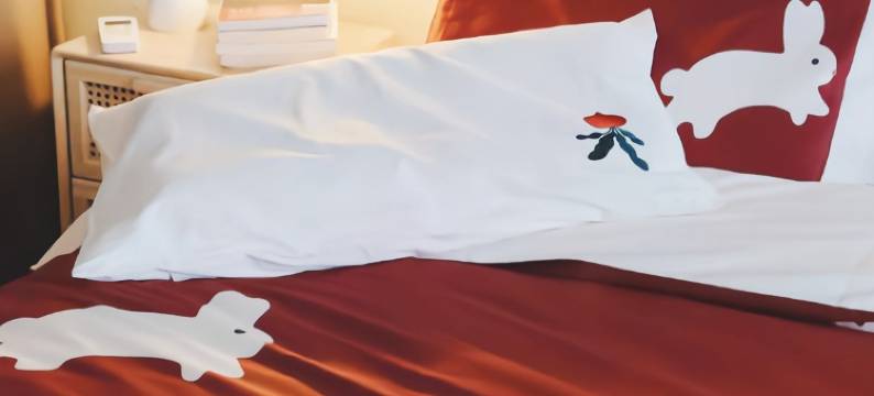 罗莉公寓(槟榔河路分店)图片