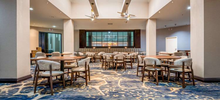 夏洛特南部泰沃拉希尔顿逸林酒店(DoubleTree by Hilton South Charlotte Tyvola)图片