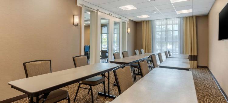 舒适套房旅馆(Comfort Inn & Suites)图片