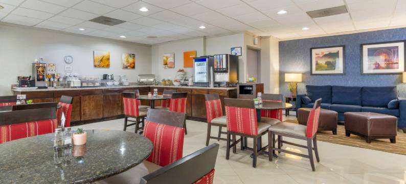 阿尔法利塔-亚特兰大北舒适酒店(Comfort Inn Alpharetta-Atlanta North)图片