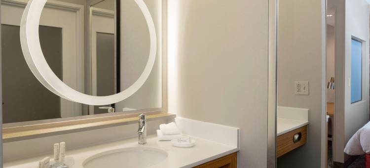 圣路易斯机场/地球城SpringHill套房酒店(SpringHill Suites St. Louis Airport/Earth City)图片