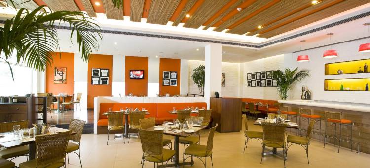 新德里梅尔东柠檬树酒店(Lemon Tree Hotel, East Delhi Mall, Kaushambi)图片