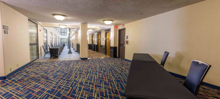 圣路易斯拱门德鲁里广场酒店(Drury Plaza St. Louis at the Arch)图片