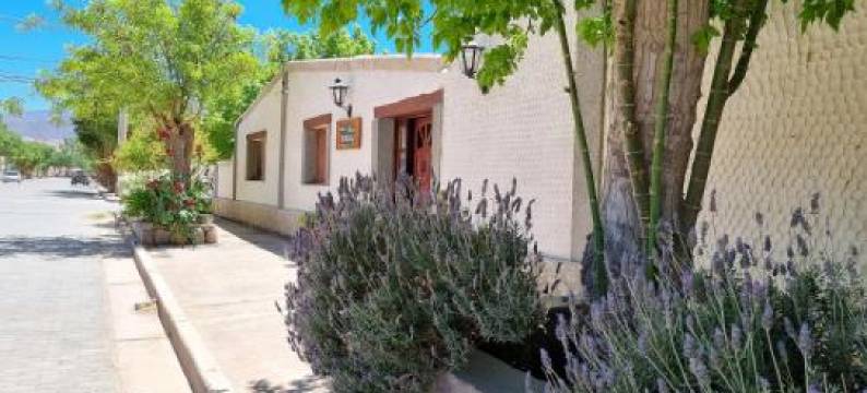 Cardones de Molinos图片