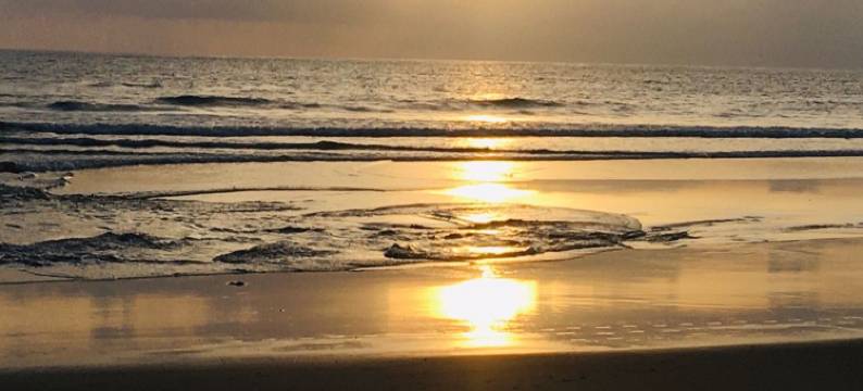 马丁斯克雷斯特酒店(Martins Crest)图片