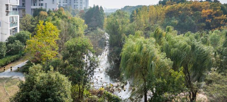 开心嗨民宿(钟园路分店)图片