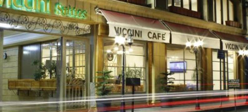 维西尼套房公寓式酒店(Viccini Suites)图片