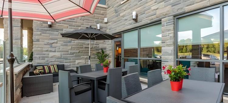 贝尔维尔万豪TownePlace酒店(TownePlace Suites Belleville)图片