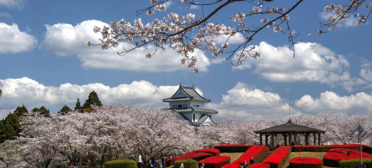 都城Vessel酒店(Vessel Hotel Miyakonojo)图片