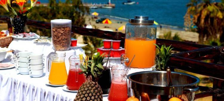 格兰帕尔马酒店-帕拉卡斯(Hotel Gran Palma Paracas)图片