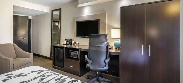 圣彼得堡克利尔沃特舒眠酒店(Sleep Inn Clearwater-St Petersburg)图片