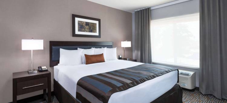 Wingate by Wyndham Sidney图片