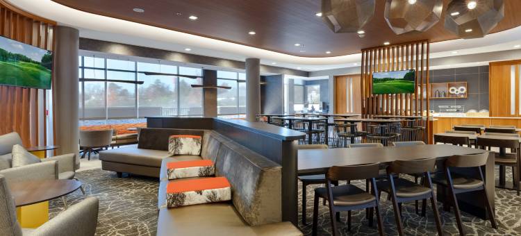 查特努加南-林戈尔德万豪SpringHill Suites酒店(SpringHill Suites Chattanooga South/Ringgold, GA)图片