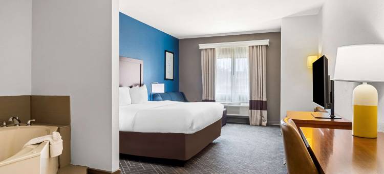 林代尔泰勒北舒适套房酒店(Comfort Suites Lindale)图片