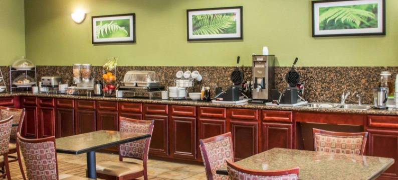 六旗舒眠酒店套房(Sleep Inn & Suites at Six Flags)图片