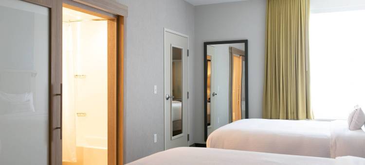 南本德北万豪SpringHill Suites酒店(SpringHill Suites South Bend Notre Dame Area)图片