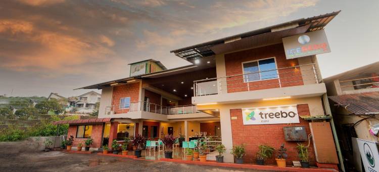 Treebo 冰山(Treebo Iceberg)图片