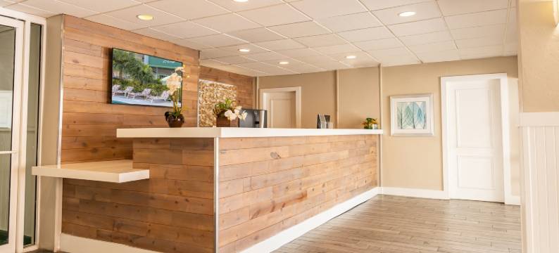 棕榈树俱乐部迈阿密(Palm Tree Club Miami Hotel)图片