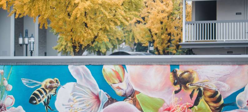 联排别墅贝斯特韦斯特酒店(Best Western Town House Lodge)图片