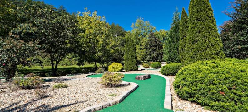 Booking for 2026!  10 Point Buck - 10 Bedroom Ensuite!  Theater Room, Arcade+图片