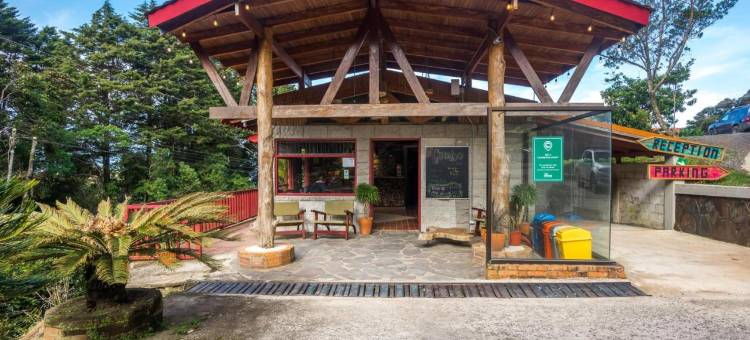 Socialtel 蒙特贝尔德(Socialtel Monteverde - Formerly Selina Monteverde)图片