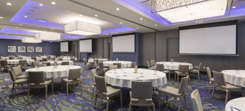 渥太华市中心希尔顿花园酒店(Hilton Garden Inn Ottawa Downtown)图片