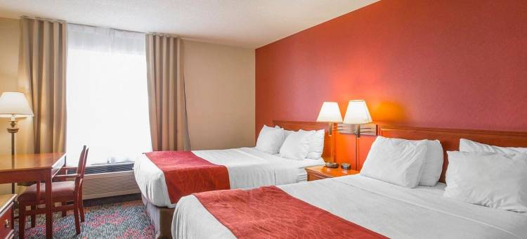 舒适酒店及套房大学(Comfort Inn & Suites University)图片