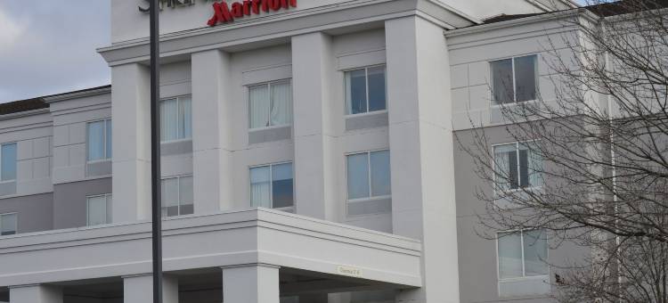 匹兹堡蒙罗维尔SpringHill Suites 酒店(SpringHill Suites Pittsburgh Monroeville)图片