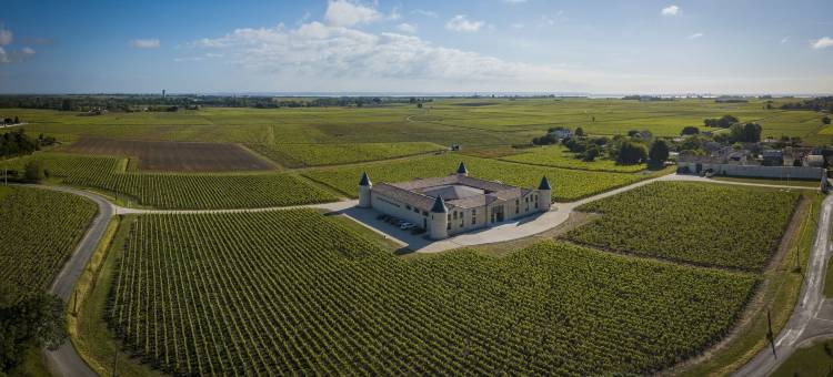 圣弗特古堡(Château Tour Saint-Fort Chambre d'hôtes)图片