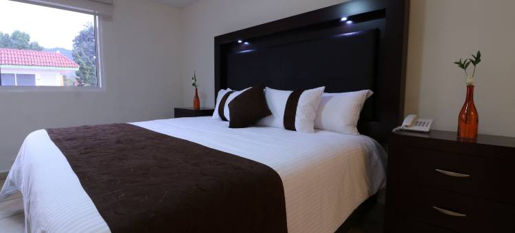 萨尔蒂洛快捷大厦酒店(Hotel Misión Express Saltillo)图片