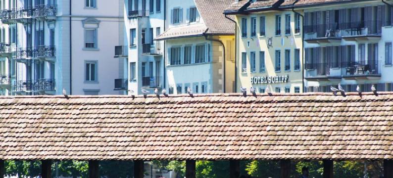 伊特林塔尔老城公寓(Hitrental Old Town Apartments)图片