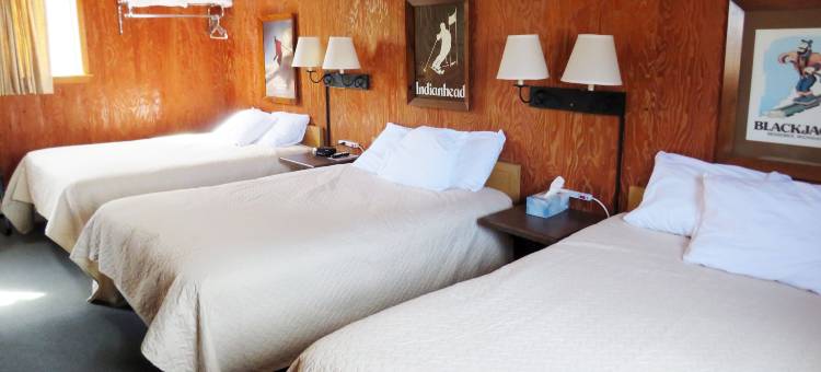 印度头铁木汽车旅馆(Indianhead Ironwood Hotel)图片