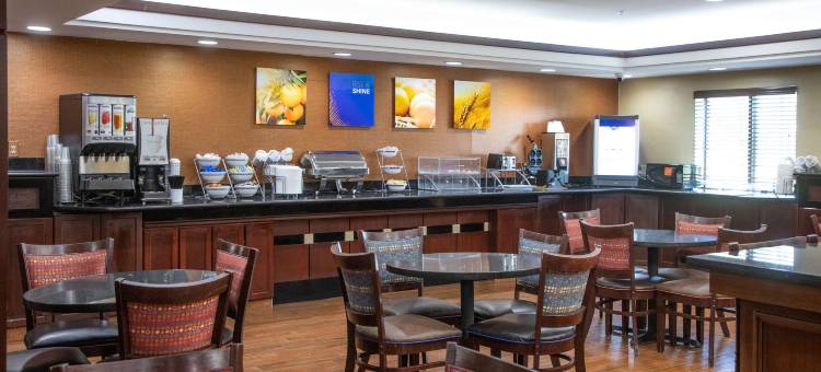 舒适套房酒店(Comfort Inn & Suites)图片