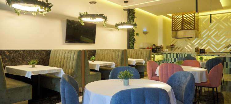 安特雷查普尔特佩克酒店(Hotel Antré Chapultepec)图片
