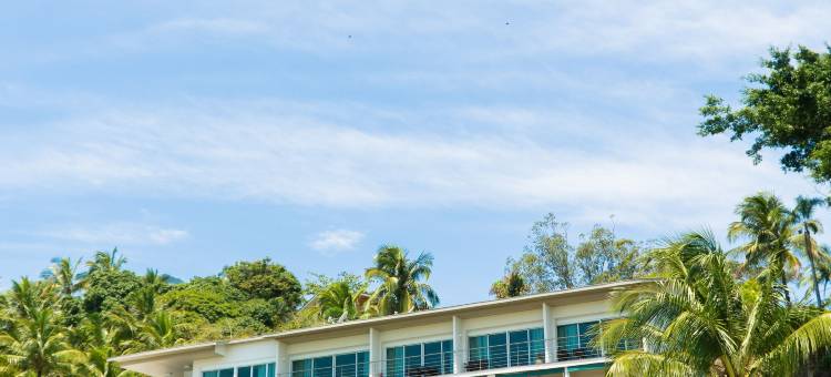 Engenho帆船(Velas do Engenho)图片