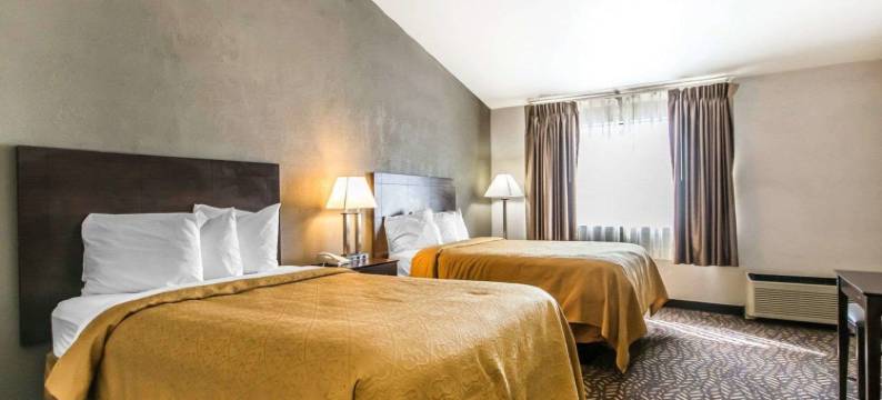 大学机场凯艺套房酒店(Quality Inn & Suites University-Airport)图片