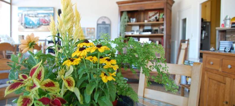 罗亚尔河桥边酒店(Le Pont de la Loire)图片