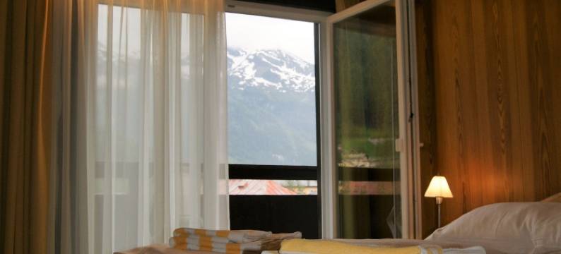 林登霍夫精品酒店(Hotel Lindenhof)图片