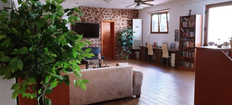 阿波罗公寓酒店(Apollo Studios)图片