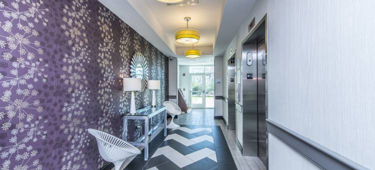 查尔斯顿机场-会展中心智选假日套房酒店(Holiday Inn Express & Suites Charleston Arpt-Conv Ctr Area)图片