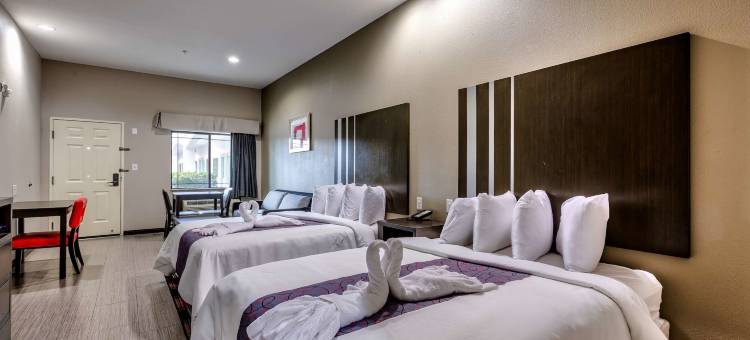 IAH机场北美洲佳价套房酒店(Americas Best Value Inn and Suites IAH Airport North)图片