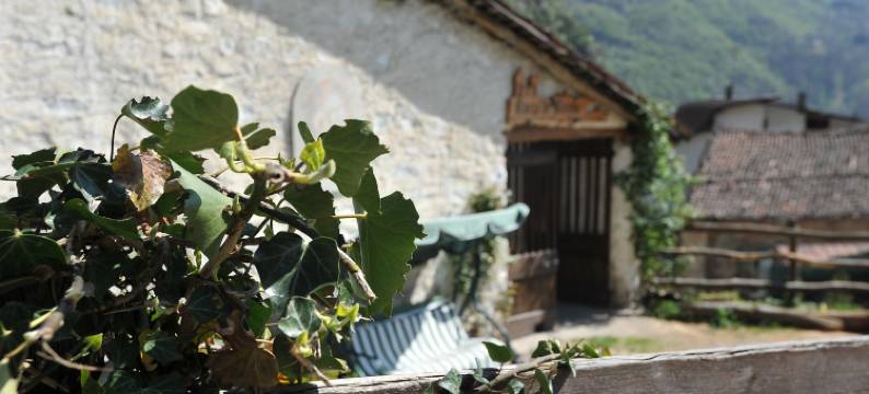 罗卡迪巴乐多住宿加早餐旅馆(B&B Rocca di Bajedo)图片