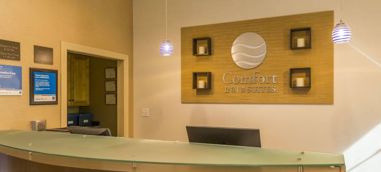 舒适套房酒店(Comfort Inn & Suites)图片