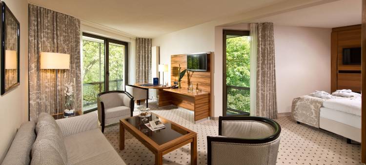 巴特洪堡玛丽蒂姆酒店(Maritim Hotel Bad Homburg)图片