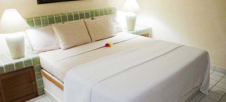 印坦巴珊瑚酒店(Coral Ixtapa)图片